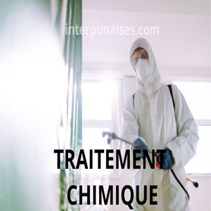 traitement chimique punaises de lit Lyon