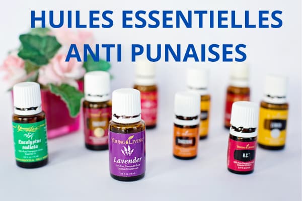 huile essentielle punaises de lit Lyon