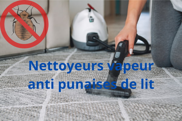 machine vapeur punaise de lit Lyon