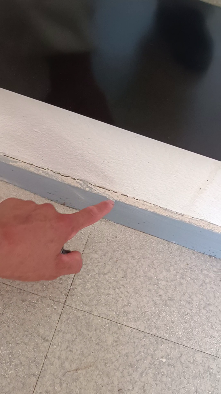 cachette plinthes punaises de lit Lyon