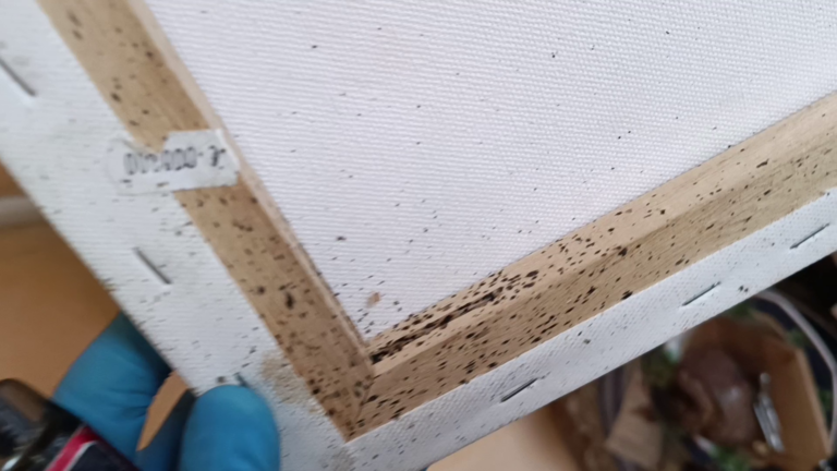 cachette tableau punaises de lit