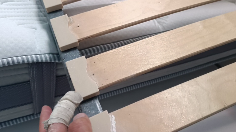 latte sommier punaise de lit Lyon