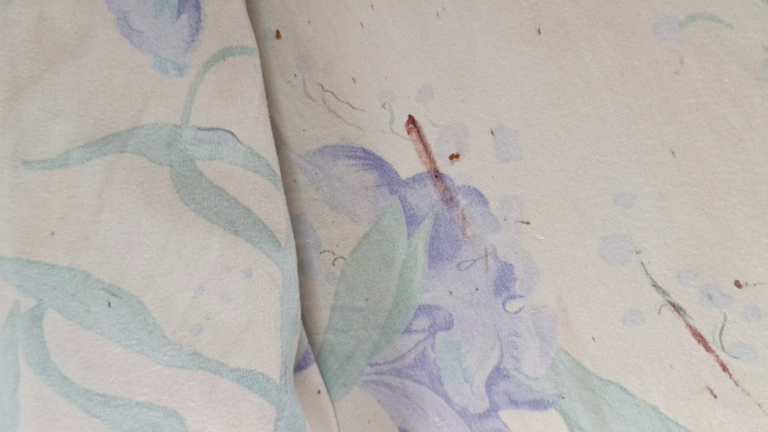 traces rouge punaise de lit